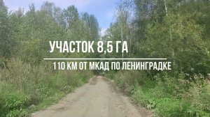 гектары на Волге в дер. Старое Мелково 110 км. от Москвы и в 10 км. от Большого Завидово и М11