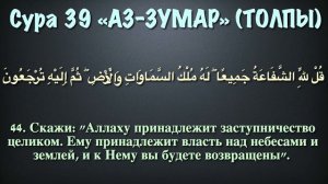 Сура 39 аз-Зумар (арабские и русские титры) - Мухаммад Люхайдан