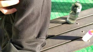 Прогулка с Мией