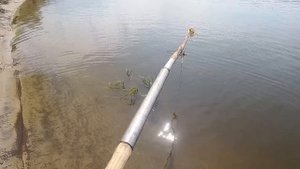 Рыбалка на живца! ЛОВИМ РЫБУ С ВЕРНЫМ ДРУГОМ! Поймал РЫБУ НА 450 РУБ. и ЗАПЁК В ДУХОВКЕ!