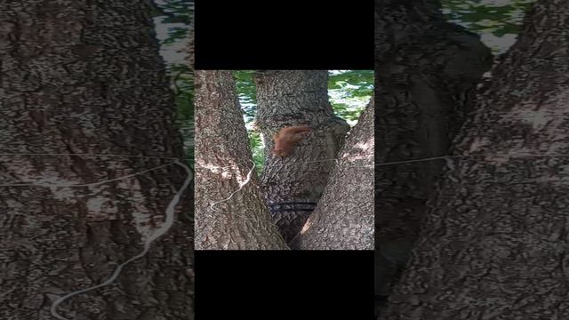 1000353391.mp4