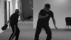 Emil Martirossian Practicing Unique JKD Power Kicking