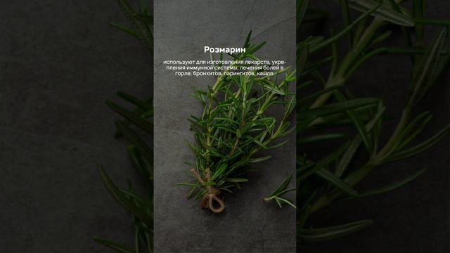 Поднимаем иммунитет #топ #food #весна #иммунитет #специи #полезно #дляздоровья #shorts
