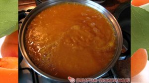 Абрикосовое пюре для детей