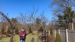 Winter Garden Chores || Pruning Trees, Spraying for Deer, and More