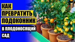 ❗ Лучшие комнатные растения 🔵 Неприхотливые комнатные растения для квартиры которые можно долго не