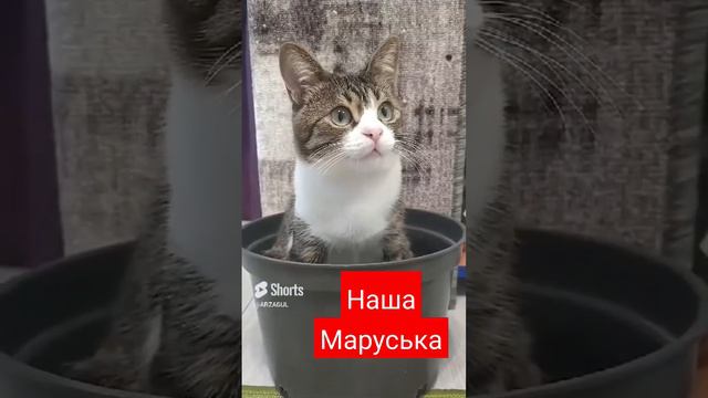 Маруся