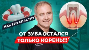 Можно ли спасти зуб, если от него остался только корень?