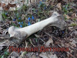 Перевал Дятлова