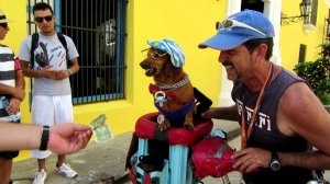 Свой парень!!! (friend!!!).