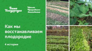 Как мы восстанавливаем плодородие