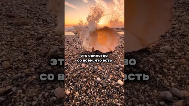 Что такое ЛЮБОВЬ #осознанность #самосовершенствование #творец #магия