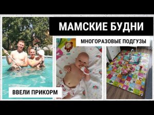 НЕПРАВИЛЬНЫЙ ПРИКОРМ / ПРО КУПАНИЕ / ДОМАШНИЕ ДЕЛА И УБОРКА / НОВЫЕ ПОКУПКИ ДЛЯ ДОМА И РЕБЕНКА