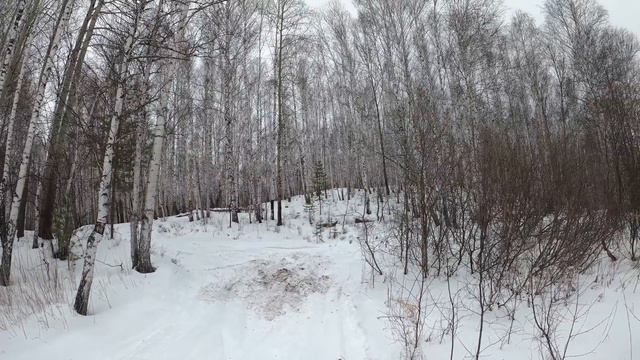 Чебаркуль. Лыжи 08.03.2020 г.