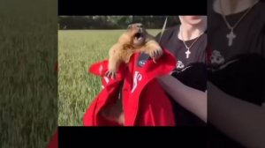 Всех отдохнувших ждем на работу вахтой 😄