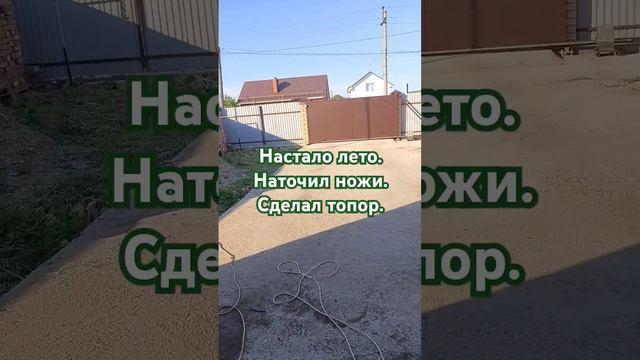 Лето. Топор  готов. Ножи  заточены. Коса прогнулась.