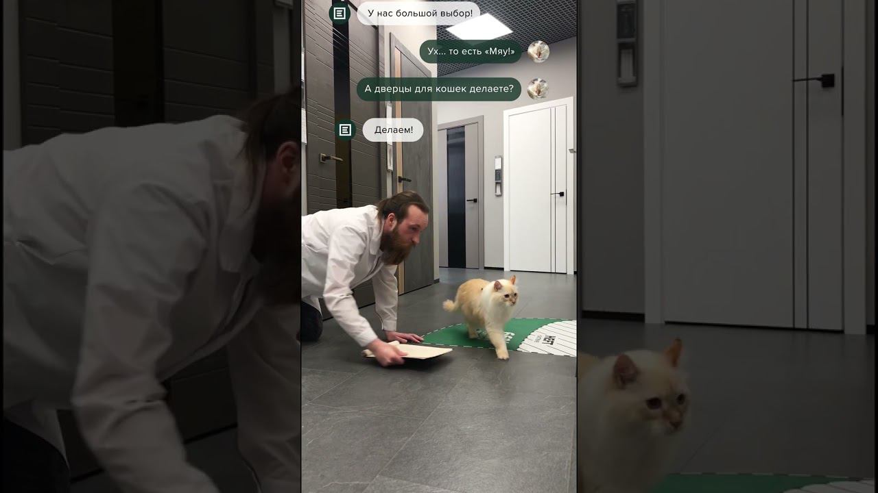 Кот выбирает дверь смотреть онлайн