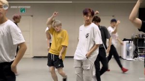 [INSIDE SEVENTEEN] '독 : Fear' Dance Practice Behind