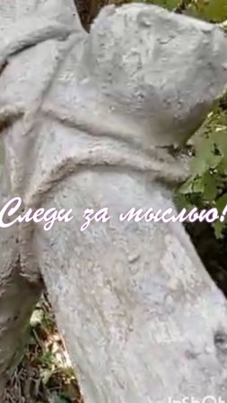Следи за мыслью!