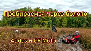 Катаемся через болото на квадроциклах Aodes Mud Pro, CF Moto и Yamaha Grizzly