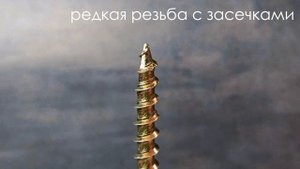 Конструкционный тарельчатый саморез DAXMER и его преимущества