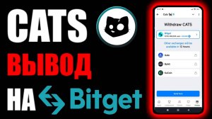 CATS airdrop в телеграм ! Вывод монет на криптобиржу BitGet !