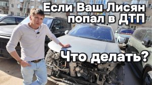 Что делать если ваш Лисян попал в ДТП