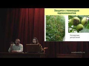 Защита растений от вредителей