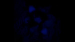 We Fell Apart - slowed