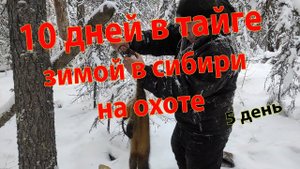 10 дней в тайге зимой на охоте в Сибири 5 день