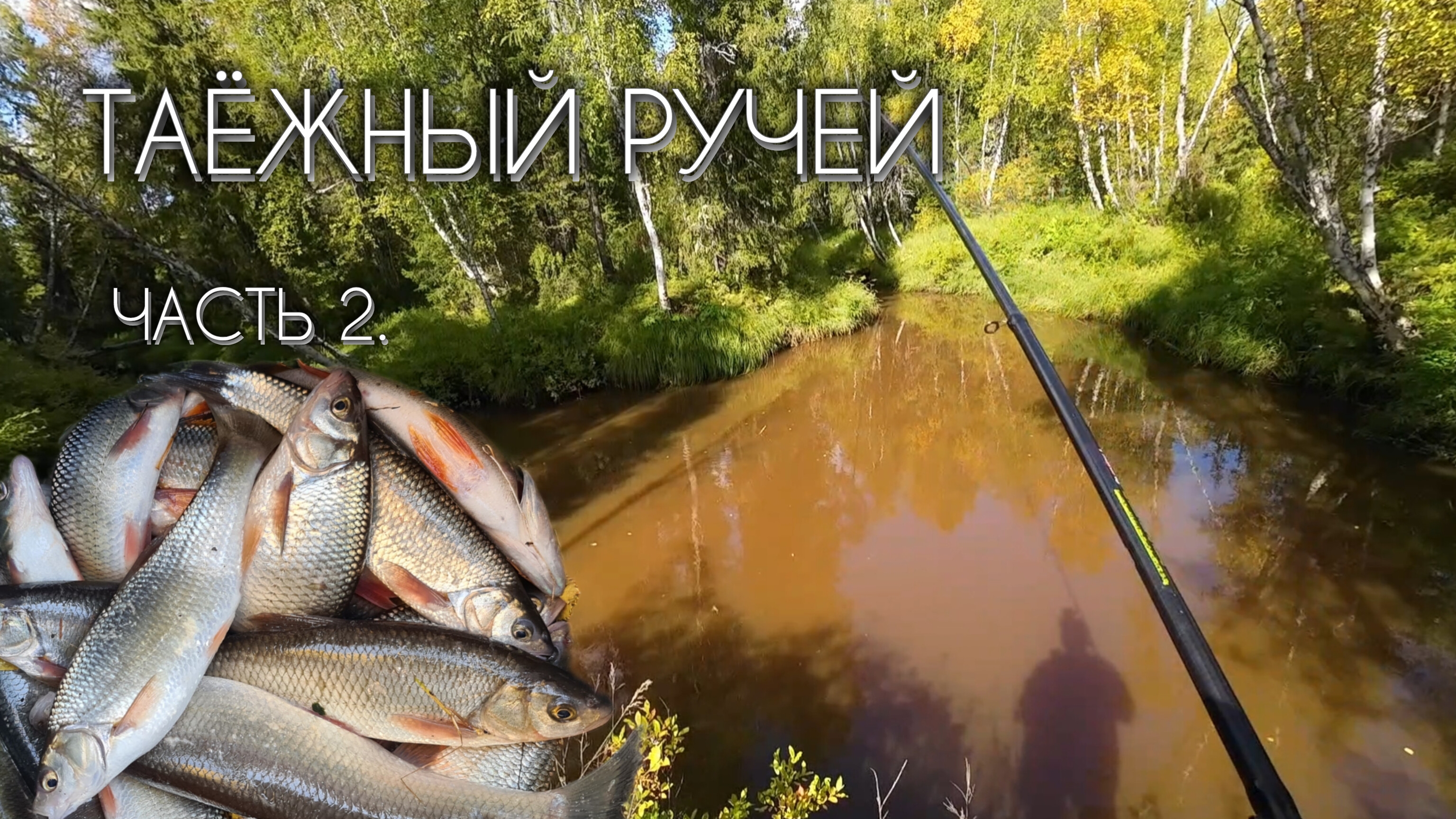 ТАЁЖНЫЙ РУЧЕЙ за ЧЕБАКОМ (МОХТИКОМ) часть 2 #чебак #мохтик #ручей #рыбалка #сибирь #мотобуксировщик