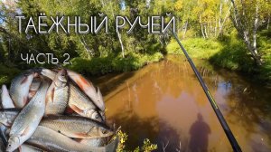 ТАЁЖНЫЙ РУЧЕЙ за ЧЕБАКОМ (МОХТИКОМ) часть 2 #чебак #мохтик #ручей #рыбалка #сибирь #мотобуксировщик