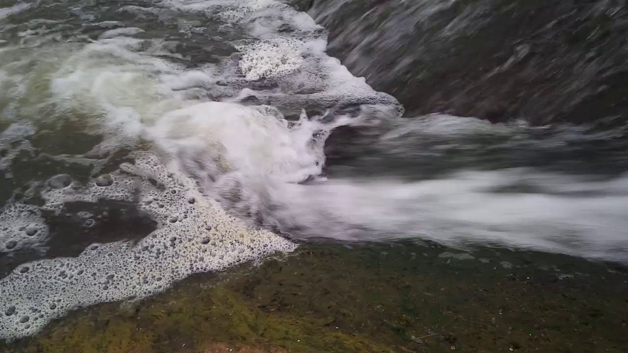 Почти лососи. Рыба сама лезет на берег.
