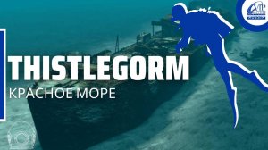 Thistlegorm (Тистлегорм) Дайвинг в Египте. Сафари-дайвинг