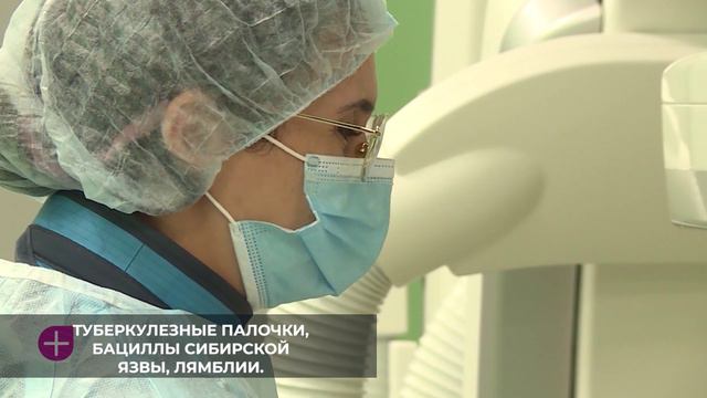 В Ставропольской краевой больнице врачи лаборатории клинической микробиологии развивают