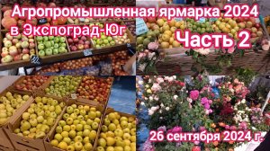 Краснодар - Кубанская ярмарка 🍅🥕🍏🍇🍎 - Часть 2 - 26 сентября 2024 г.