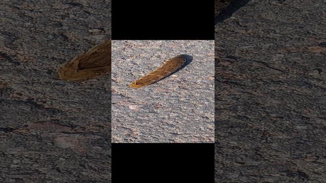 1000374808.mp4