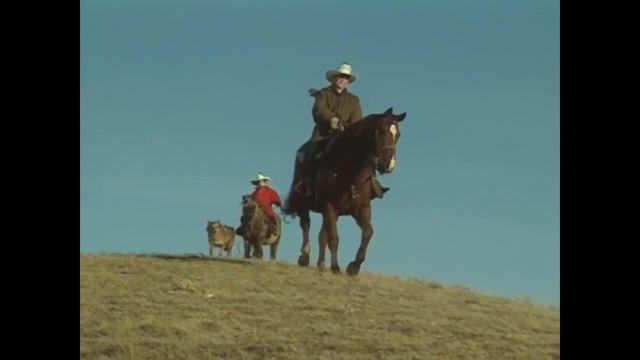 Sesame Street - Episode 4097 смотреть онлайн