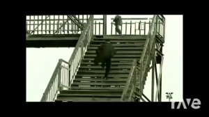 BUG MAFIA & NICOLAE GUȚĂ ȘI PLAY AJ- TARE DE CARTIER (REMIX 2022)