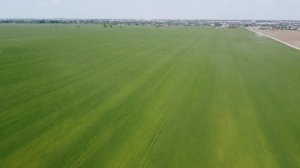 Отчий край