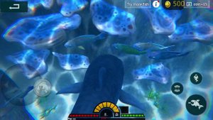 Defeating the great white shark in feed and grow fish