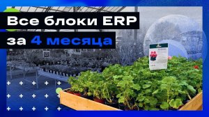 Все блоки ERP за 4 месяца