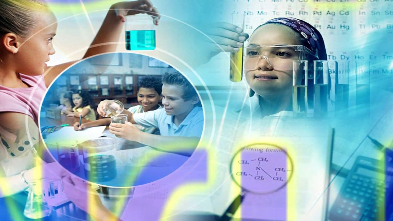 Фестиваль профессий нужны, все профессии важны