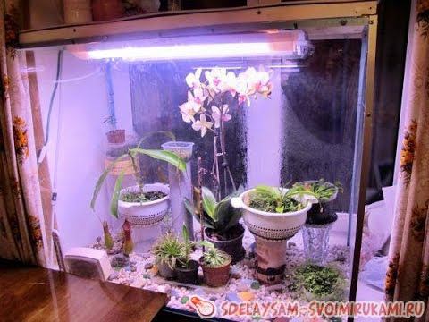 Изготовление флорариума своими руками смотреть онлайн