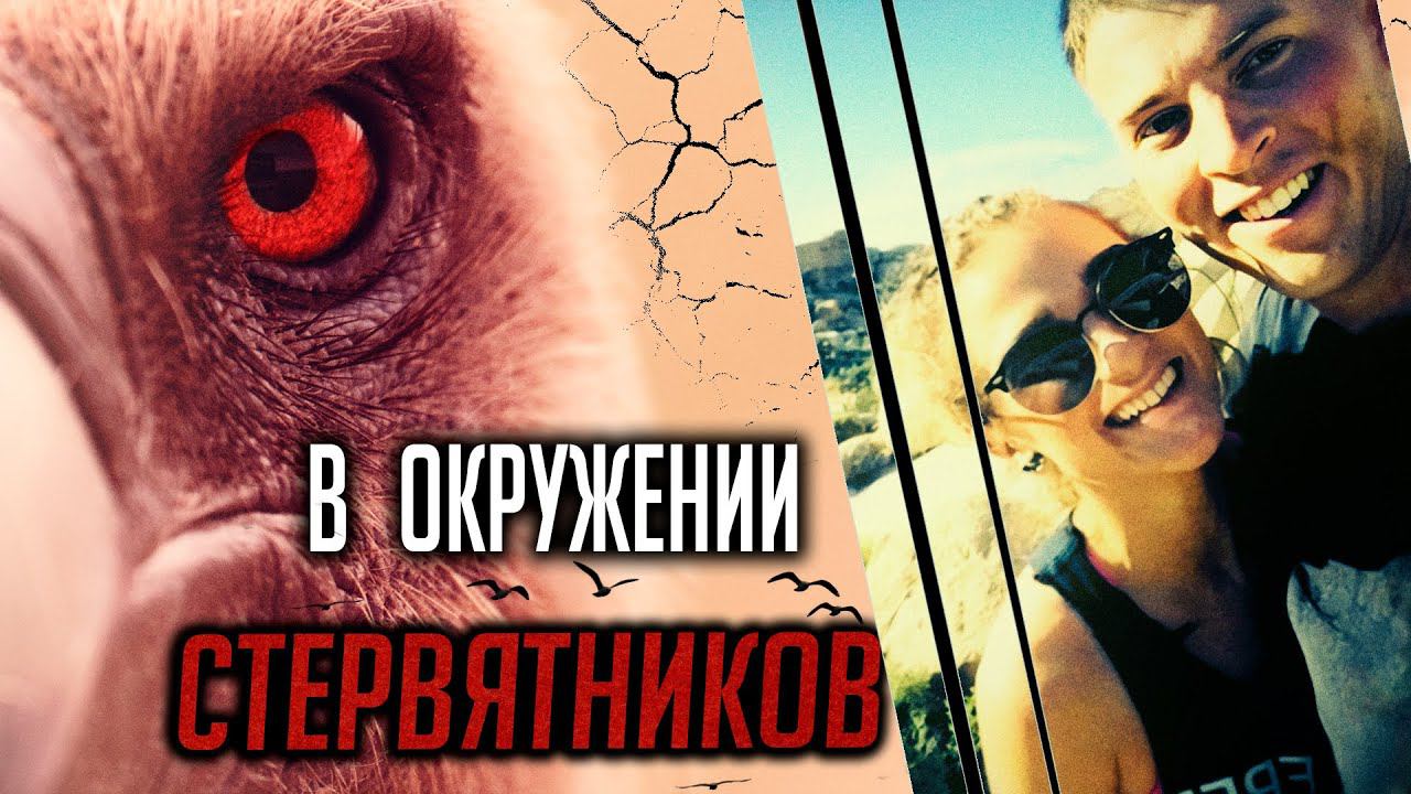 В окружении стервятников. Детективная история Генри Стенджа смотреть онлайн