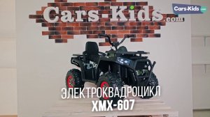 Как собрать электроквадроцикл XMX607