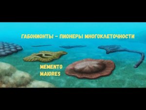 Габонионты - пионеры многоклеточности. Протерозой. Помни о предках