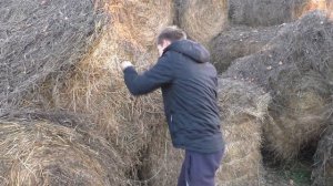 СОК ИЗ ЯБЛОК, МАЛЫШ НАС ТРЕНИРУЕТ а МЫ ТРЕНИРУЕМ МАЛЫША!