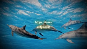 "Море Жизни" (Музыка)
