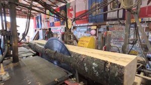 sawing two fire cherry logs and replacing hydraulic hoses # 533